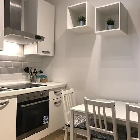 Appena Ristrutturato In Centro